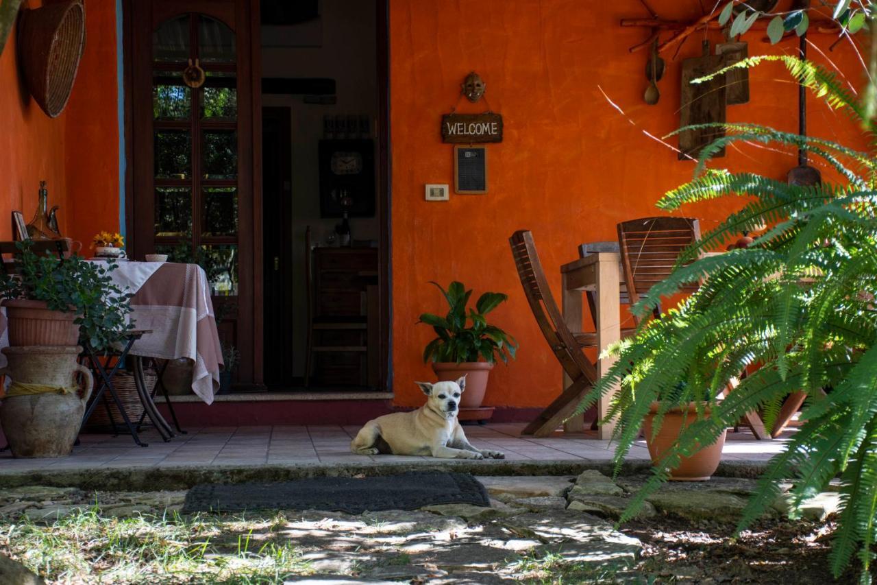 B&B La Noria San Sperate Bagian luar foto
